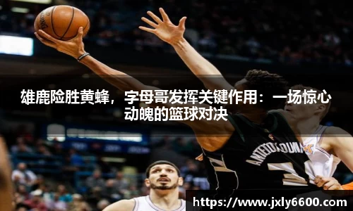 雄鹿险胜黄蜂，字母哥发挥关键作用：一场惊心动魄的篮球对决